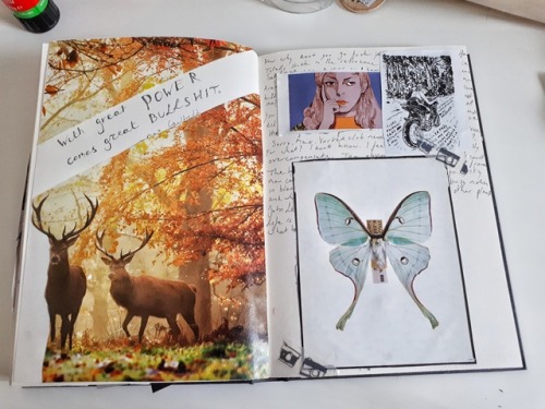 24.07.17 –> Life Is Strange Journal Pages. I’m ‘hella’ Excited For Before The Storm. Hope They