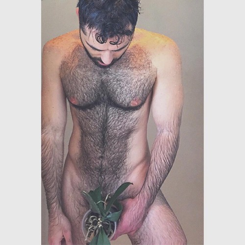 Beard & Everything