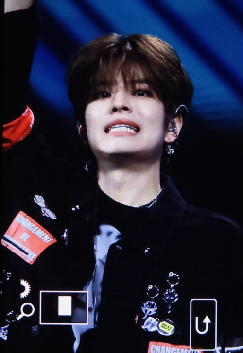 MINI PUPPY | Preview