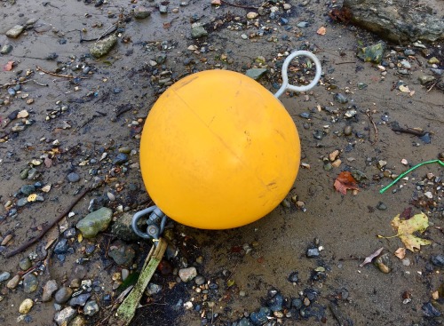 Buoy. About 2ft in diameter. Found near Albert Bridge.