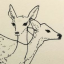 thewilddoghaunts