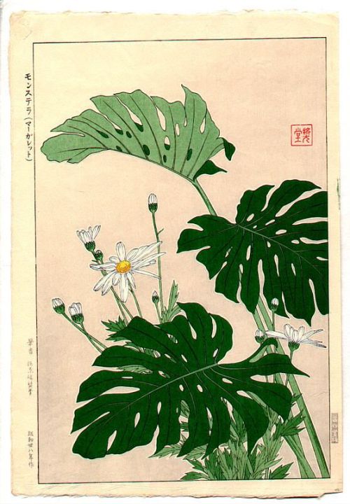 exercicedestyle:by Shodo Kawarazaki 1889-1973Early botanical illustrations are my jam and what a tre