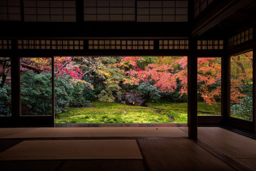 iesuuyr:Kyoto, Japan | Akira Hsu