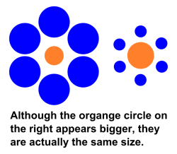 djinsen:  poonism:  drbennedict:  glsases:  spacemanflip:  optical illusions and mind puzzles  i’m really worried that some of the people reblogging this don’t realize that it’s a joke  ^this   ….I was angrily measuring the orange circle screaming
