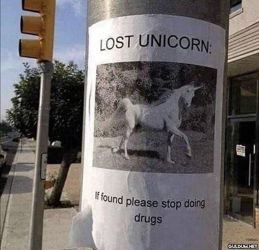 LOST UNICORN: If found...