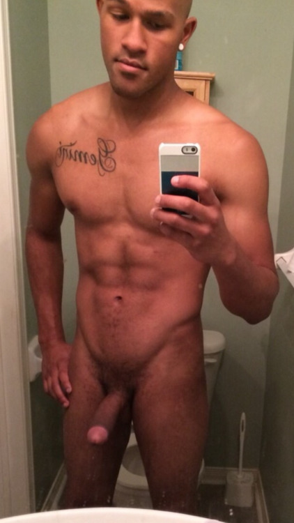 dominicanbamboo2:  DB #376 