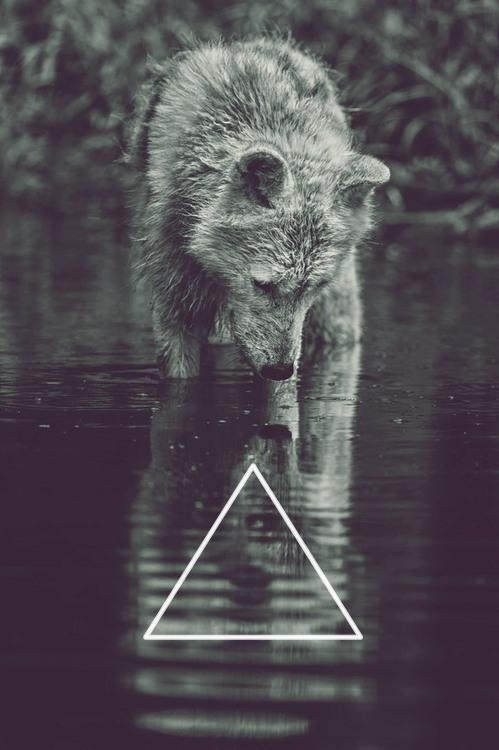 She wolf en We Heart It. http://weheartit.com/entry/69335390