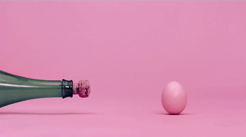 animated celebration full hit  (champagne shot vs fresh egg)
