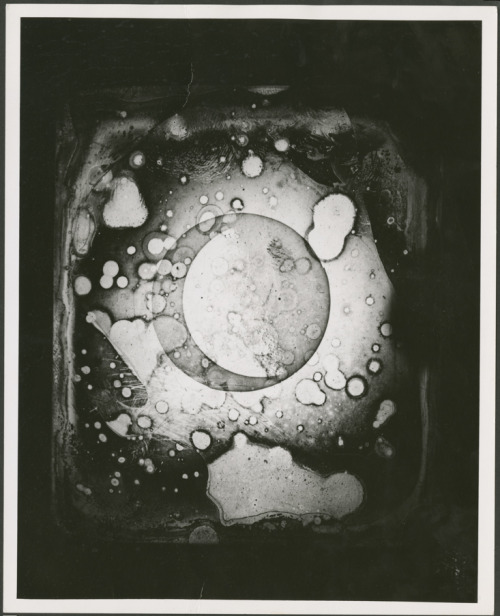 Mirror-reversed daguerreotype of the moon, attributed to John W. Draper, believed to have been taken