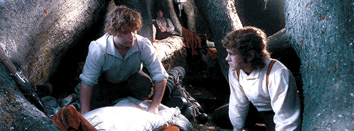 "All We Have To Decide Is What To Do With The Time That Is Given Us."