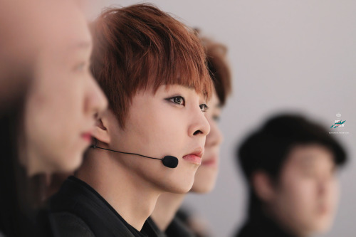 fyexo: butter cup | do not edit.  