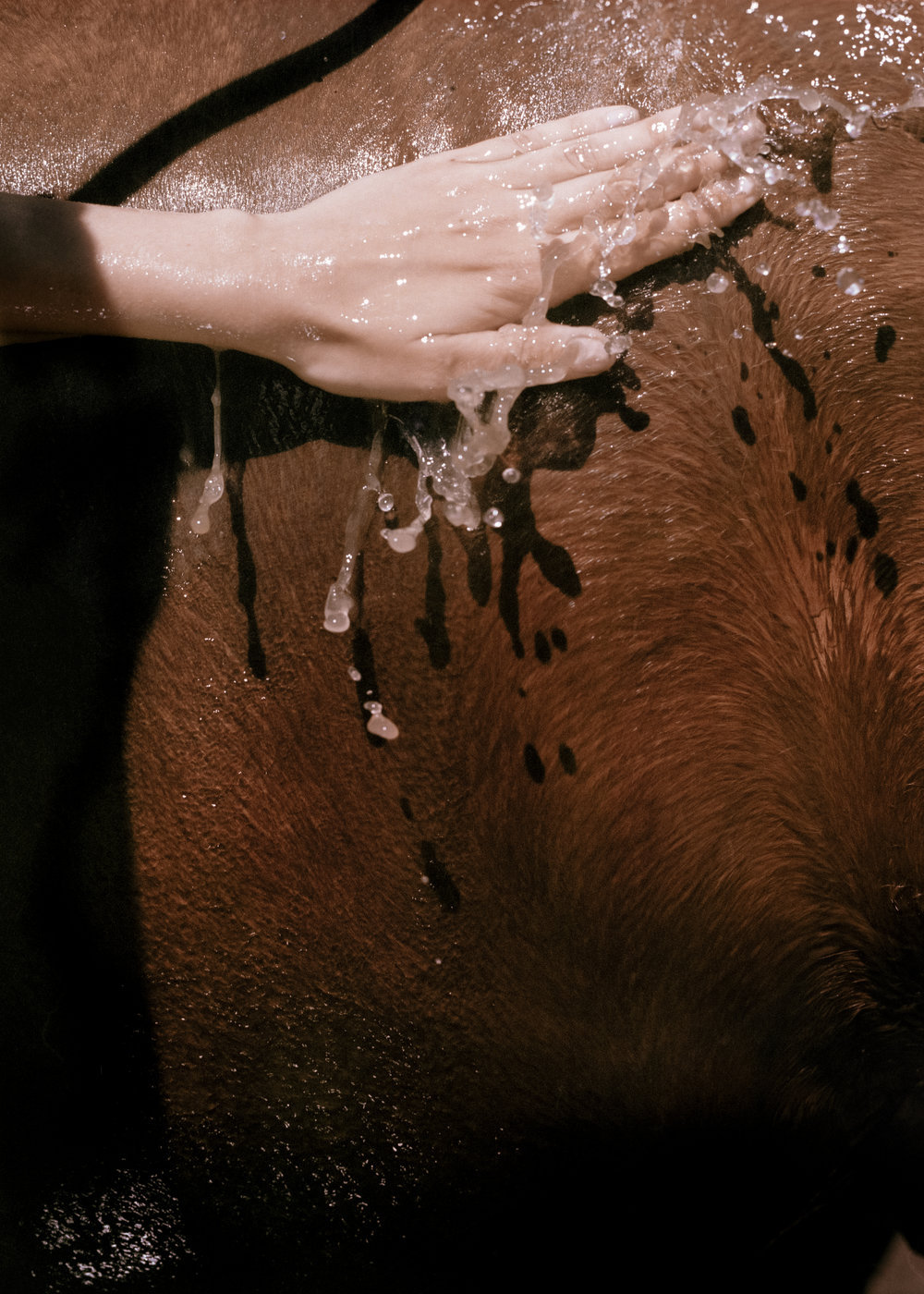 gravitydont:Joseph Ironmonger