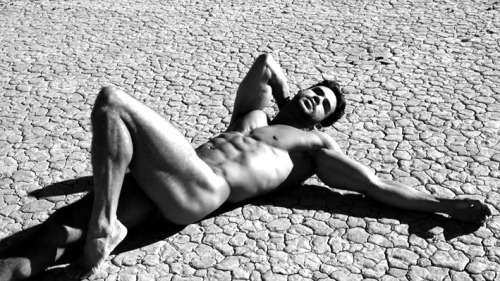 tornepl:  Willie Gomez by Kevin McDermott 