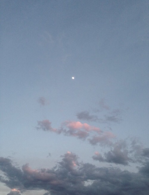 lilacin:  7:19am 