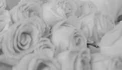 Literature Aesthetics  ♕  J A N E   A U S T E N