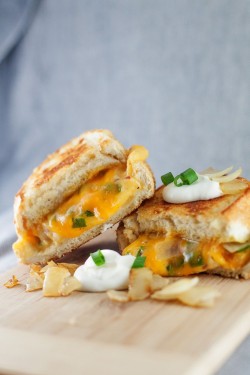 foodopia:  perogy grilled cheese with potatoes, cheddar, and green onions: recipe here 