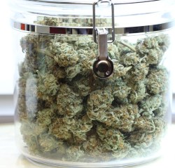 the-stoners-blog:  Follow » The-Stoners-Blog «and on Instagram » @420g_ «