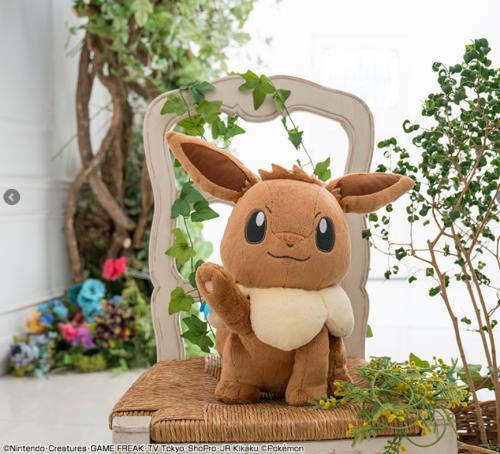 Pokemon “Eeveelution &amp; Floral Candy” Ichiban Kuji April 2020Tickets sold for about 650 yenPrize 