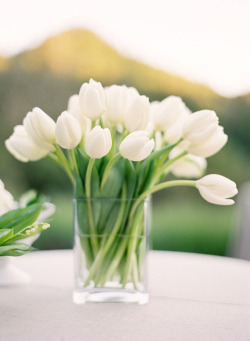 white tulips | Tumblr on We Heart It. http://weheartit.com/entry/65799993/via/glowinginthedarkness