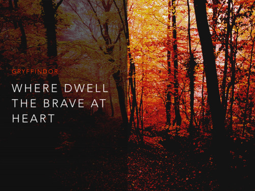 accioakhaten:  So try me on and I will tell youWhere you ought to be.