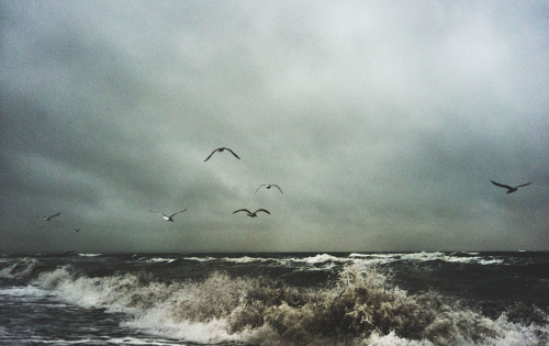 lining up against the storm