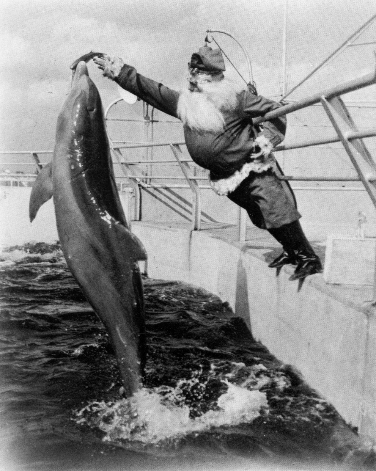 theshinyboogie:  Santa Claus feeds the dolphins, 1950s 