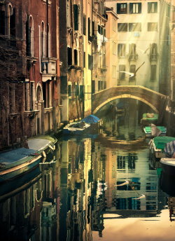 touchdisky:  Venice, Italy by Cristina Ramos