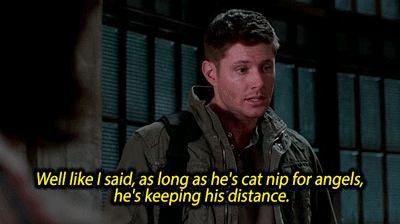 pondlifeforme:  Dean, you and Cas need to GET IT TOGETHER. Look at what it’s doing