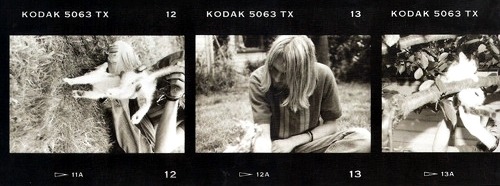 sarcasm-factory: Kurt Cobain and kittens.