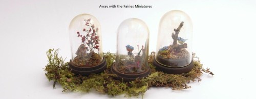 Glass domes (left and centre) compared to plastic domes (right)Away with the Fairies by Laura Brownh