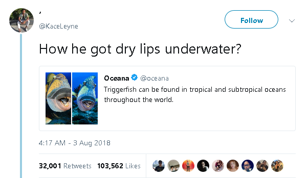 msdecember31st:  gahdamnpunk:  Why this fish just ask me where its hug at  Lmaoooo