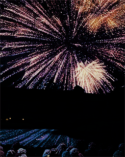 fairyshire:Happy New Year!