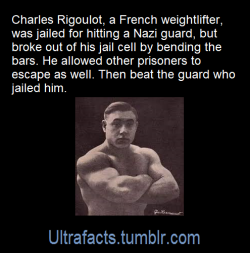 carnival-phantasm:  surfcommiesmustdie:  ultrafacts:   Source: [x] Click HERE for more facts!   Chad    Legends only! 