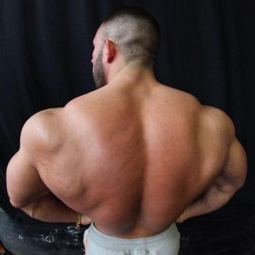 hardbulls:  Kevin Wolter 