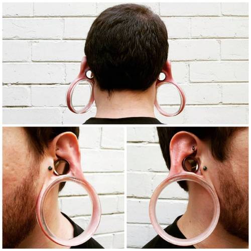 piercebailey:Here’s a sweet shot of my conches wearing ¾&quot; copper eyelets from 