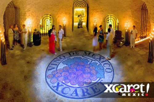 Cava de vinos Xcaret, Cancún