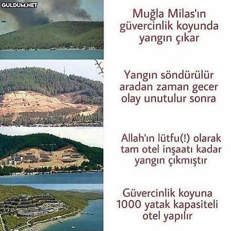Mugla Milas In Guvercinlik Koyunda Yangin Cikar Yangin Sondurulur Aradan Zaman Gecer Olay Unutulur Sonra Tam Otel Insaati Guldum Net Caps Arama Motoru