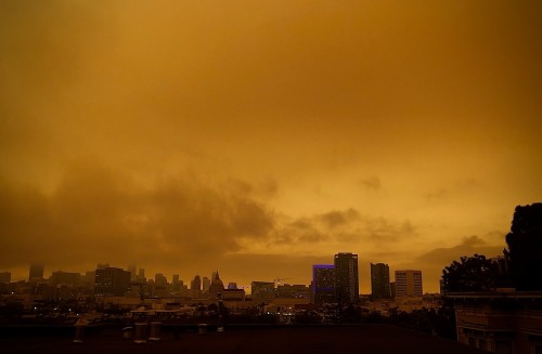 Remembering The Fires In 2020.