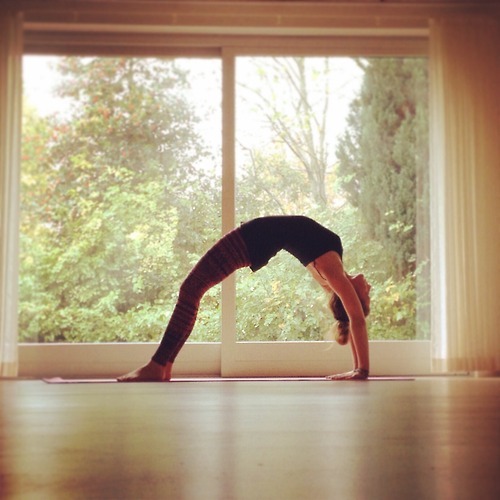 mountain-yogi: Stretching. Bending. Opening. mountain-yogi: Stretching. Bending. Opening.