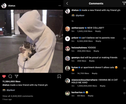 Youtuber Au; When Your Fans Ship You Together