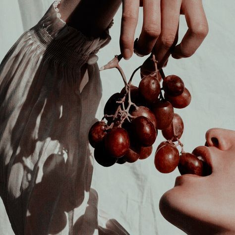 18+ Insights On Your Next Sexual Encounter