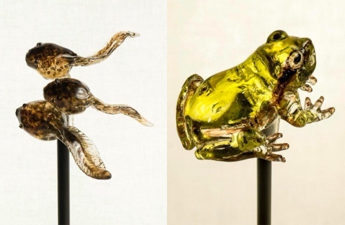 itscolossal:  Realistic Animal Lollipops and Sugar Sculptures by ‘Amezaiku’ Artisan Shinri Tezuka
