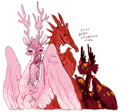 scalefilth:im gettin real serious about my dragon husbands and wives