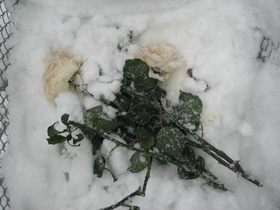 x-heesy: Frozen ❄️https://open.spotify.com/track/2aUv0uf0zDg2XF5qiWq0Ji?si=sN67cmPq
