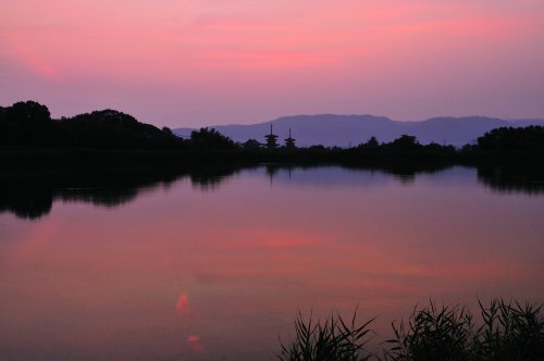 Serene sunset at Yakushi ji in Nara, by@v0_0v______mkThe sun set behind the pagodas at given time of