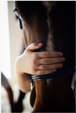 equinepoetry:  http://weheartit.com/entry/84902780/via/WeAreHorseLovers 