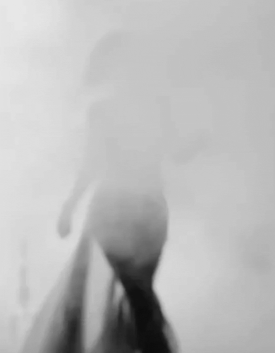 orquideajuradolove:  Entre la niebla. 