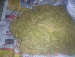 reddlr-trees:  This is what you get for ~40 dollars in India.