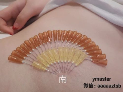 pual838: 群友南南的投稿 tumblr id: pigyanan 南南刚加我的群不久，之前一直玩微博，目前已经转到tumblr，00后的小母狗，今年刚成年，喜欢露出，sp，穿刺，捆绑等，也有过