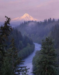 letsgoforahike:  Let’s Go For A Hike  Total heaven